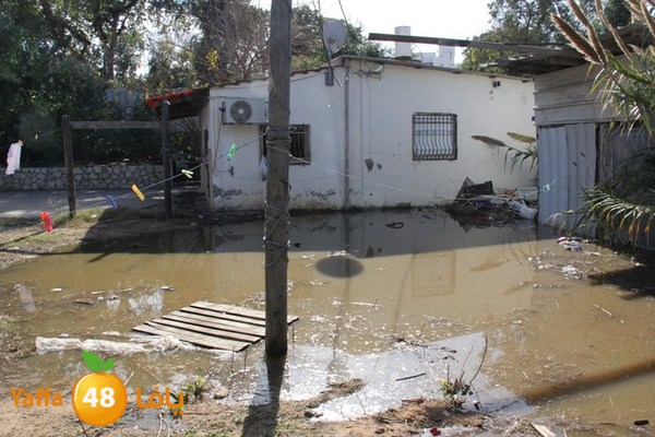 dakka majary 0125 (1).JPG